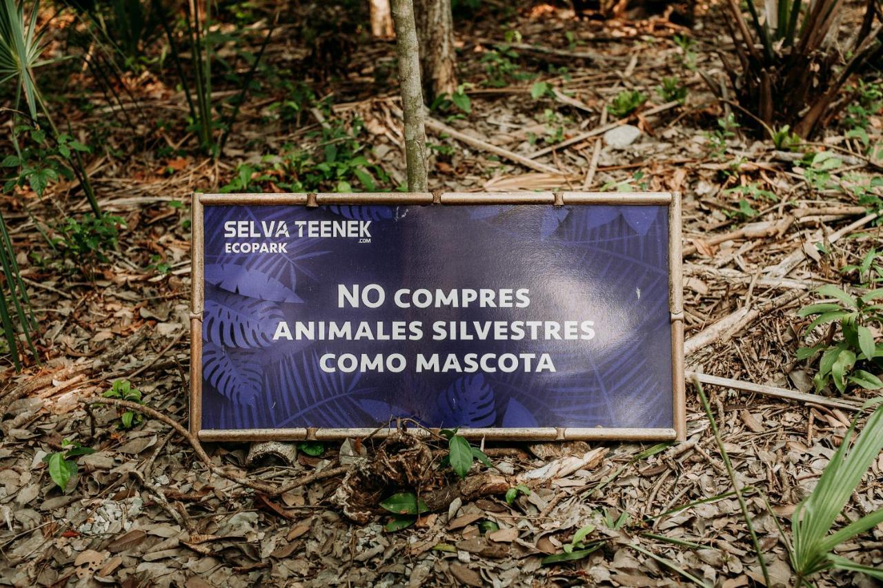 Selva Teenek Eco-Park Ciudad Valles Eksteriør bilde