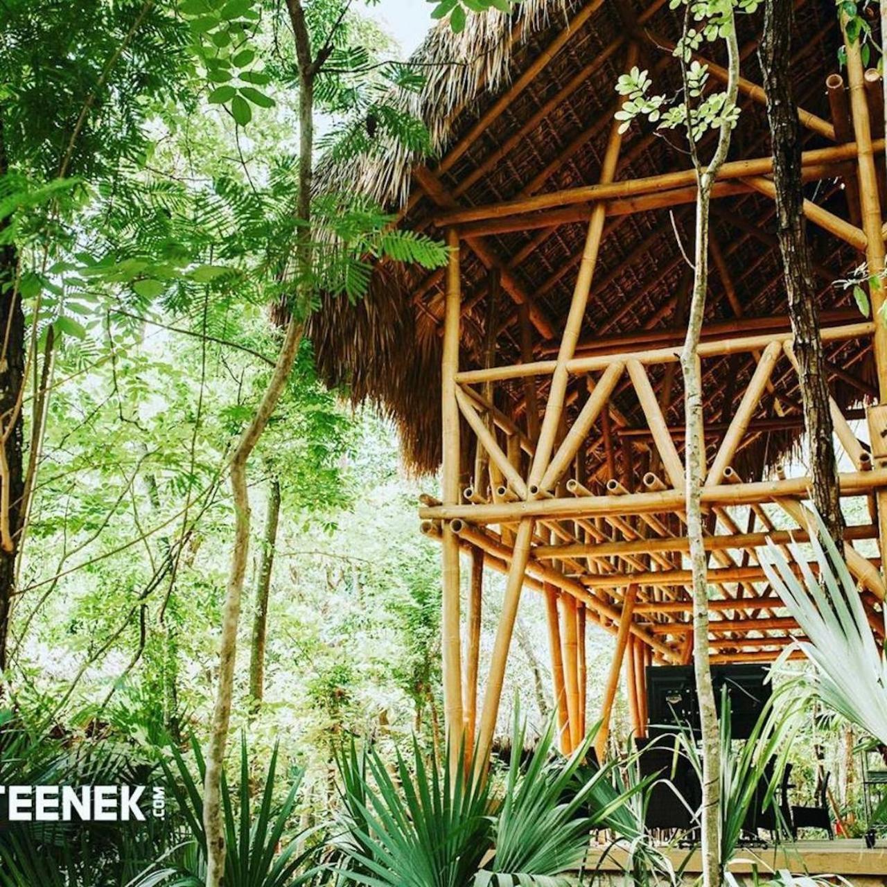 Selva Teenek Eco-Park Ciudad Valles Eksteriør bilde