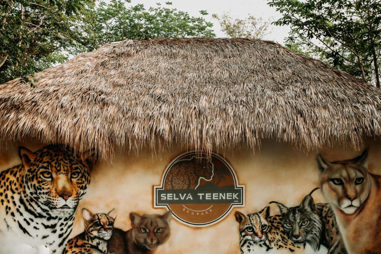 Selva Teenek Eco-Park Ciudad Valles Eksteriør bilde